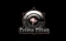 Crimecities_2010-05-23_17-21-26-42